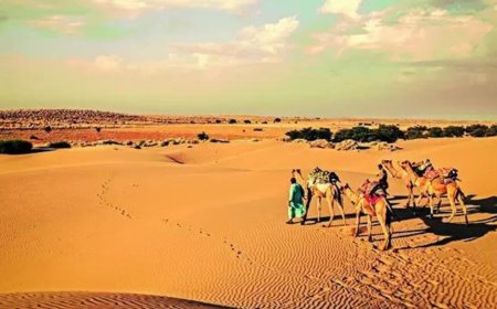 For 20 years, Thar getting more rain than normal