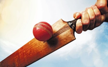 Politics News Today highlights on November 15, 2024: A northern Italian town bans cricket