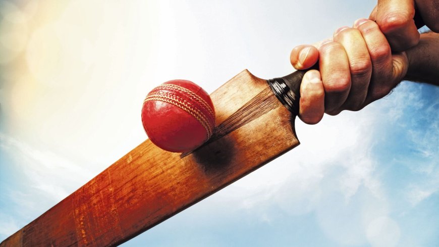 A northern Italian town bans cricket