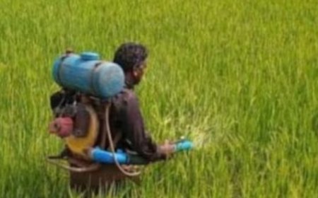 Nano Urea is made available at Pradhan Mantri Kisan Samridhi Kendras