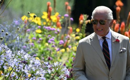 King Charles serves up change: Buckingham Palace tennis dress code ends after 106 years