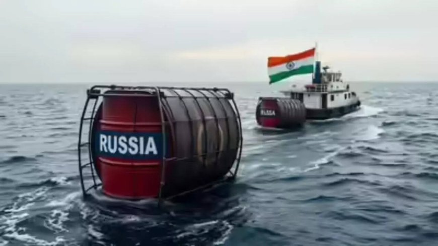 'We're going to crush your economy': US Senator warns India, China, Brazil