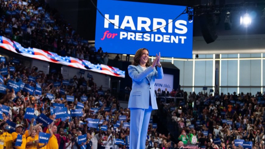 ‘Not the flex you think it is’: Kamala Harris mocked after presidential campaign anniversary post; critics call out 'Biden-erasure'