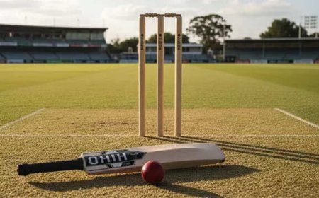 Cricket coach assaulted with bat over team selection, suffers 20 stitches: Report