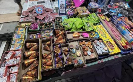 Diwali 2023: Cracker ban saw 2,228 alerts, only 96 FIRs filed; RTI, Warrior Moms say Delhi Police failed to act