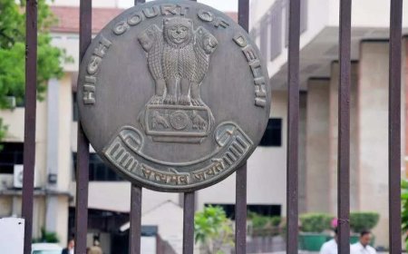 Owner Of Pit Bull That Attacked Child Must Pay Medical Bills: HC