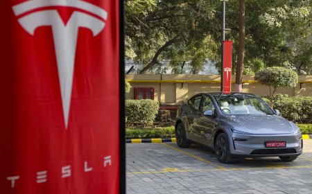 Rough November for Elon Musk's Tesla: US sales sink to nearly 4-year low; cheaper EV versions fail to spark demand