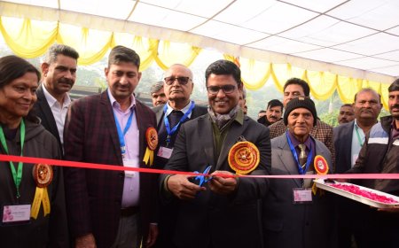 NDMC Chairman Inaugurates Two-Day Annual Winter Rose Show at Chanakyapuri,
