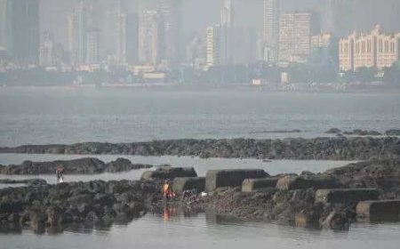 Mumbai: Auto driver in burqa mistaken for child-lifter, thrashed by mob