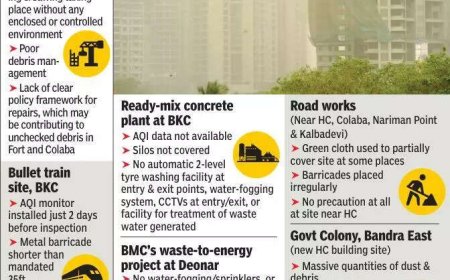 Explain in person ‘inaction’ over 36 polluting sites: HC to BMC chief, MPCB official