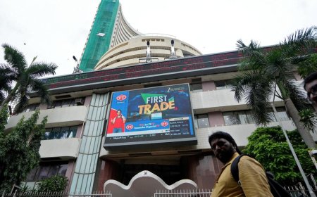 Sensex rallies 638 points, Nifty settles above 26,000 on foreign fund inflows, firm global trends