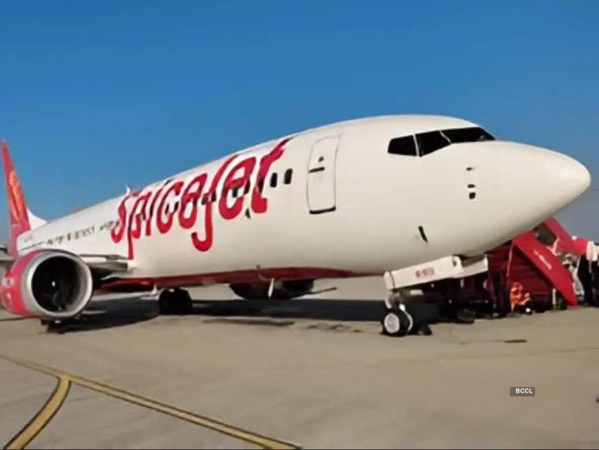 SpiceJet expands with 100 more flights daily! Stock jumps 5%