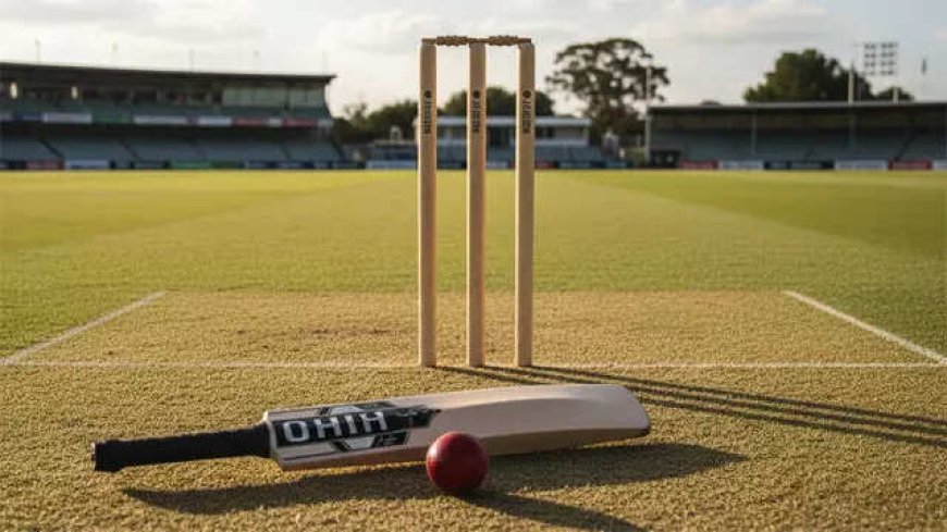 20 stitches! Cricket coach assaulted with bat over team selection; FIR lodged