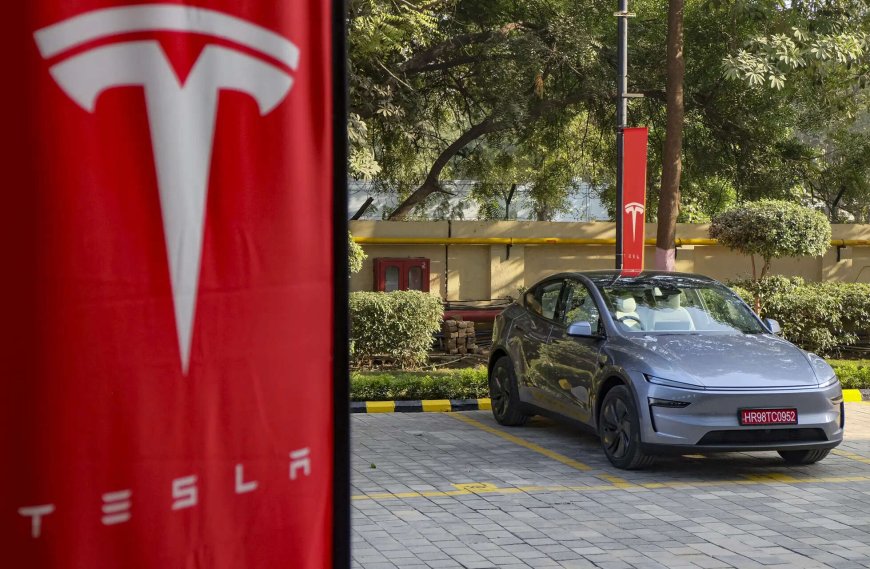 Rough November for Elon Musk's Tesla: US sales sink to nearly 4-year low; cheaper EV versions fail to spark demand