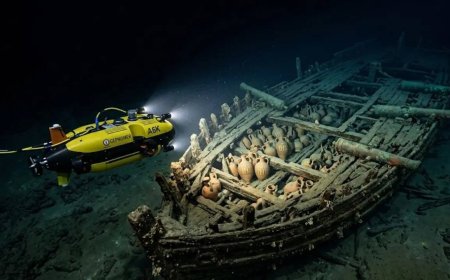 A hidden world 2.5-kilometre down: How an underwater drone discovered France’s deepest shipwreck