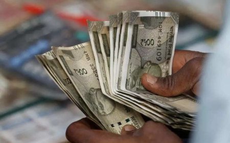 Cash reward of Rs 25,000 announced by Maharashtra forest department to find archer who shot three monkeys