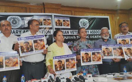 Nationwide Black Day Observed in Mourning for Late Wildlife Veterinarians