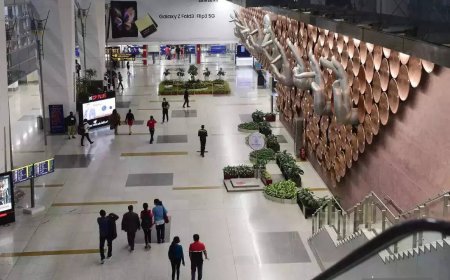 Flyer held at Delhi airport with marijuana worth Rs 13 crore