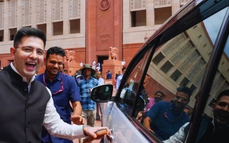 'Interesting thought': Raghav Chadha hints at own political party