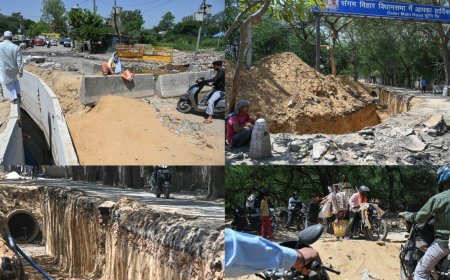 In pitiful Delhi, deaths don’t change a thing