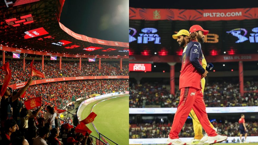 CSK knock BCCI's door, lodge complaint against RCB for 'Dosa idli' song