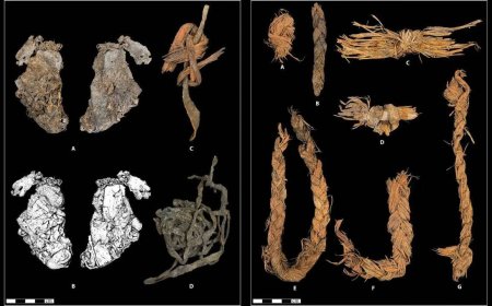 Inside a cave older than Egypt’s pyramids: 12,000-year-old stitched piece of elk hide may be the world’s oldest clothing