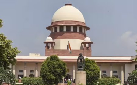 SC: Tracking devices, alarm buttons must in public vehicles