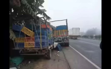 Truck on wrong side leads to 13 deaths on Mumbai-Ahmedabad highway