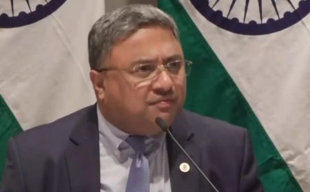 'No understanding': MEA secretary’s pointed response to Norway reporter; 'ignorant NGOs' retort