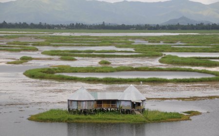 This mysterious floating lake with circular islands in India is also home to one of the world’s longest snakes