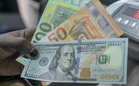 Forex spends by Indians drop 2% to $29 billion in FY26